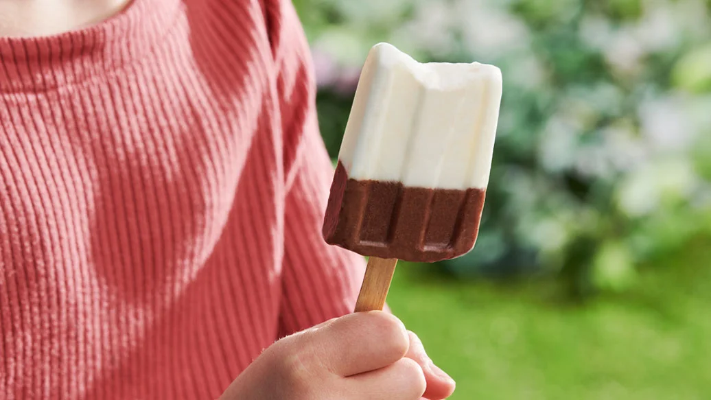 Chocolate Yogurt Pudding Pops